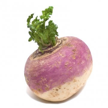Turnips -Rapen
