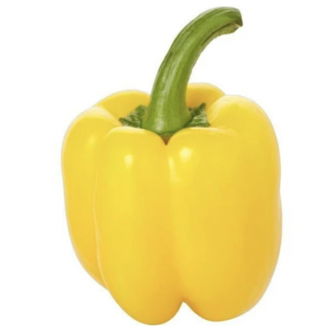 Yellow Pepper kg