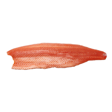 Frozen salmon Fillet