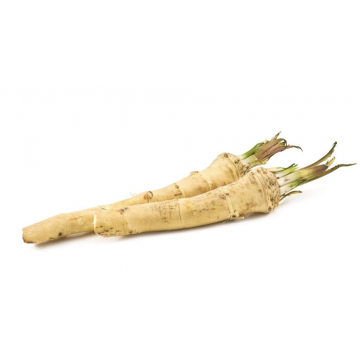 Mierikswortel / Horseradish