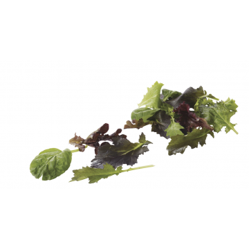 Mesclune lettuce 125g